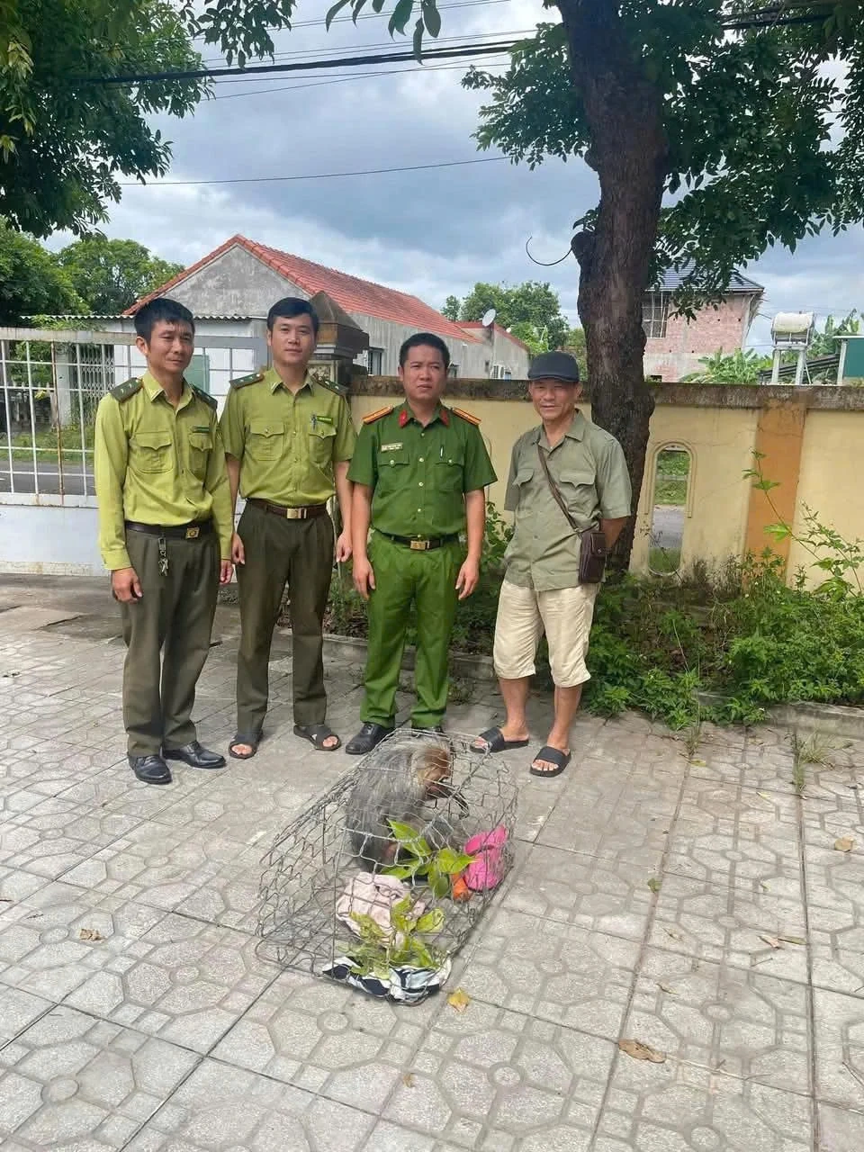 Quang Tri resident hands over rare red-faced monkey to authorities