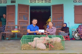 Hỗ trợ lợn giống và tiền cho “Địa chỉ cần giúp đỡ” của Báo Quảng Trị