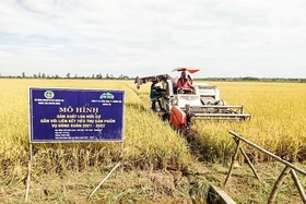 Ứng dụng khoa học kỹ thuật trong sản xuất phân bón hữu cơ