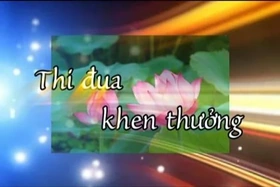 Danh hiệu và danh dự