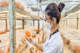 Tích cực hỗ trợ ứng dụng khoa học và công nghệ vào sản xuất