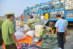 Tập trung chống buôn lậu, gian lận thương mại và hàng giả