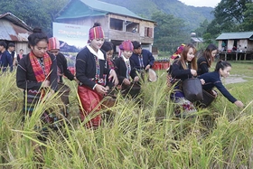 Hội mùa ấm no của người Vân Kiều