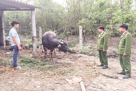 Tăng cường phòng, chống tội phạm trộm cắp trong dịp Tết
