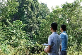 Ứng dụng khoa học công nghệ trong quản lý, bảo vệ và phát triển rừng