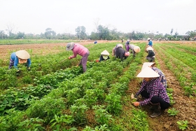 Tương trợ nhau khi gặp khó khăn