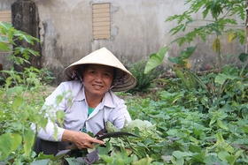 Vươn lên từ nghịch cảnh
