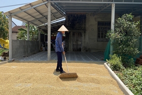Cha nghèo nuôi 4 con ăn học nên người