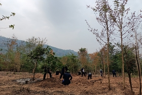 Nỗ lực trên hành trình đi tìm đồng đội