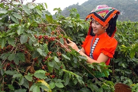 Lễ hội cà phê Sơn La lần thứ nhất, năm 2023