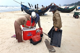 Nhọc nhằn mưu sinh mùa biển động