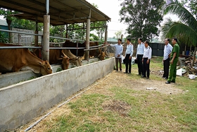 Cảnh giác với dịch bệnh than