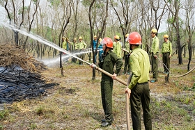 Kiểm lâm Quảng Trị: Chủ động phòng cháy, chữa cháy rừng