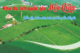 Khu du lịch quốc gia Mộc Châu - Điểm đến hấp dẫn