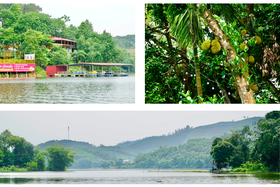 Đầm Ao Châu - Ngọc xanh miền đất mẫu