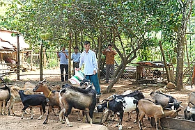 Hội Cựu chiến binh Cam Lộ xóa hết hộ nghèo trong hội viên