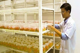 Quan tâm công tác sở hữu trí tuệ để nâng cao chỉ số đổi mới sáng tạo
