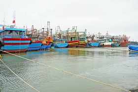 Bảo vệ an toàn tàu thuyền trong mùa mưa bão