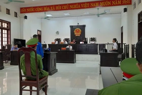 Sự thức tỉnh muộn màng