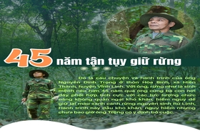 45 năm tận tụy giữ rừng