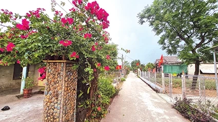“Làng lạ” Tân Phương Lang