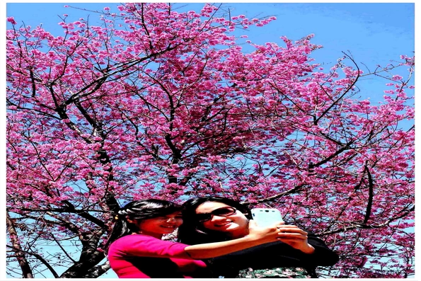 Sắc xuân Đà Lạt