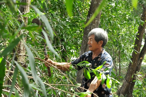 Cần làm rõ, giải quyết dứt điểm kiến nghị cấp đất của ông Lê Thước