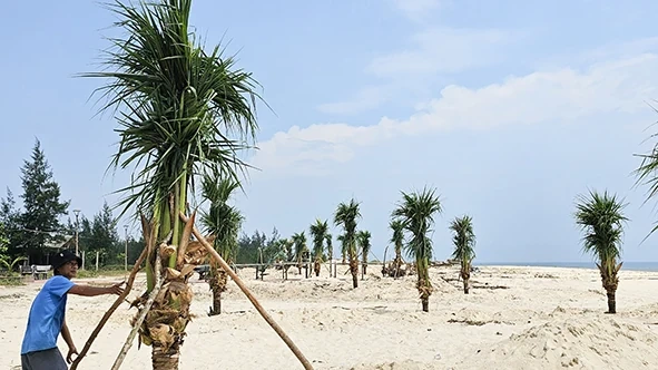 Đánh thức tiềm năng du lịch biển Triệu Lăng