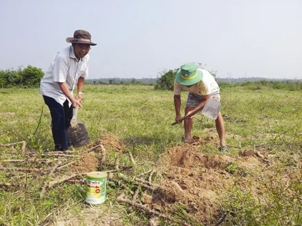 Đào tiên tiến mùa lũ