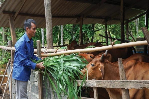 Những “triệu phú” mang họ Bác Hồ