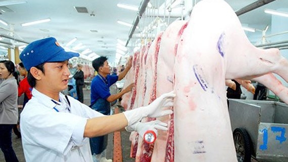 Siết chặt công tác kiểm dịch động vật để bảo vệ sức khỏe cộng đồng
