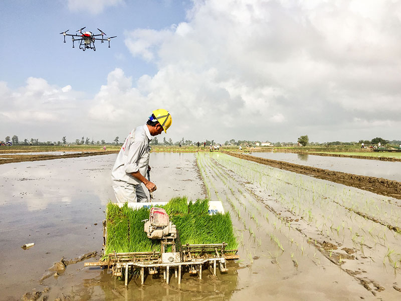 Phát triển nông nghiệp, nông thôn hiệu quả, nền tảng thúc đẩy Quảng Trị phát triển nhanh và bền vững