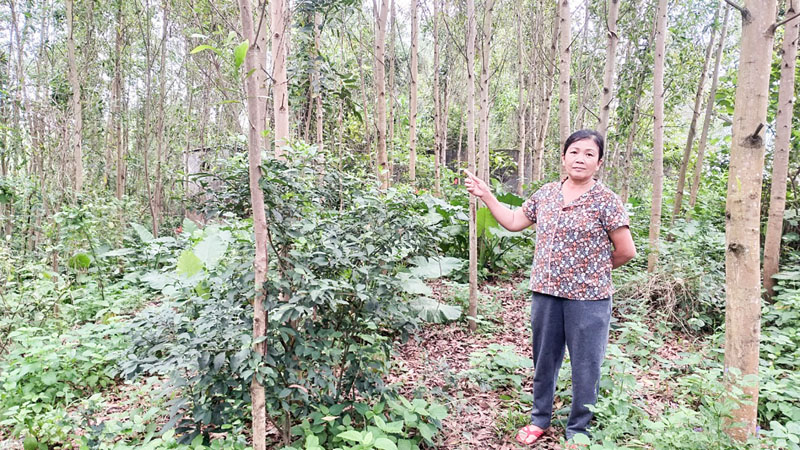 Hồi âm vụ tranh chấp đất đai ở thôn Vĩnh Đại, xã Cam Hiếu (Cam Lộ): Người tranh chấp rút đơn kiện
