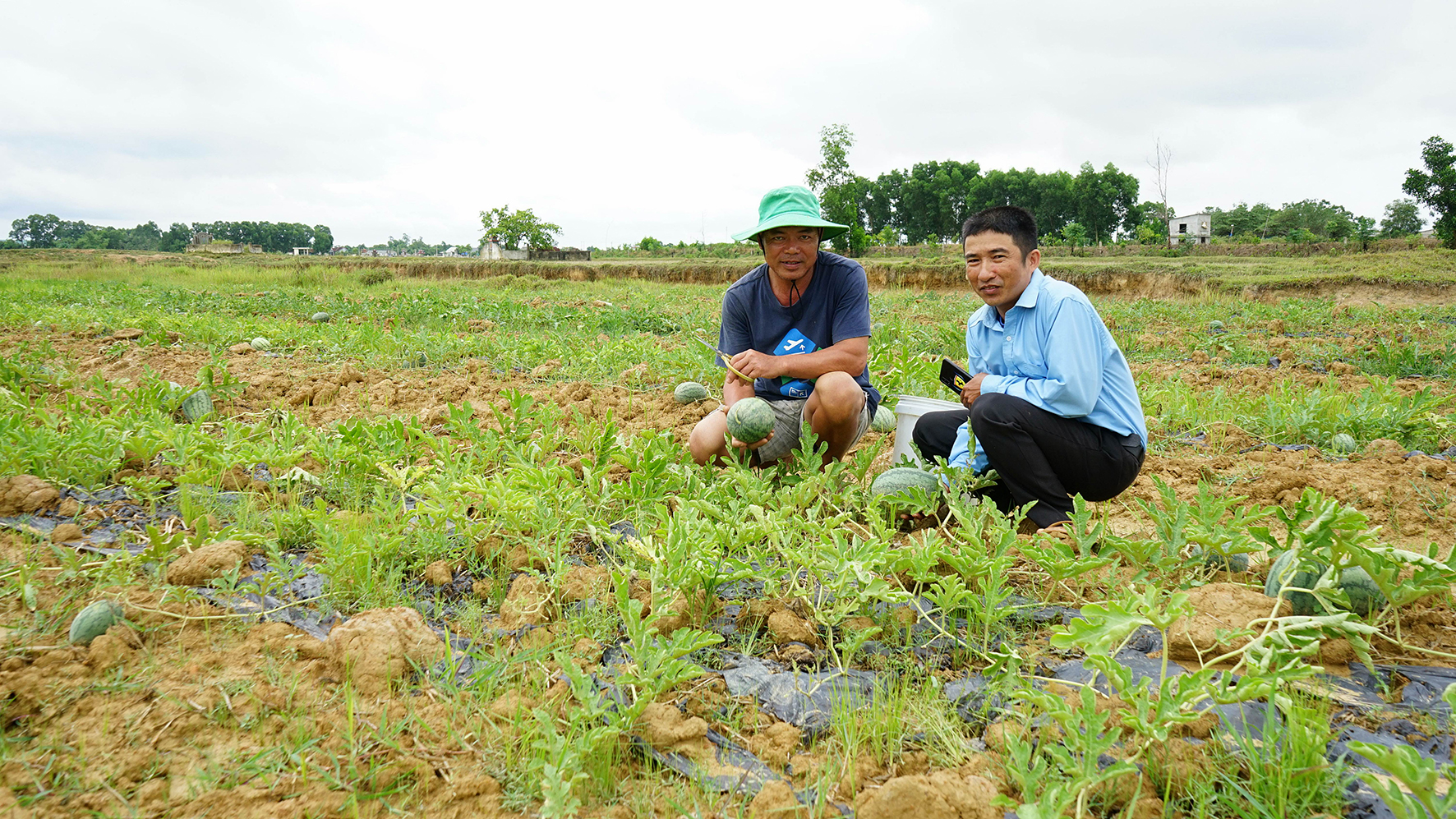 Chuyển đổi 200 ha đất trồng lúa kém hiệu quả