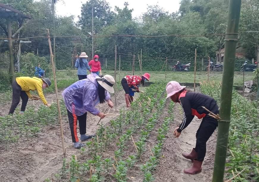Đào tạo nghề cho lao động nông thôn vẫn còn nhiều bất cập