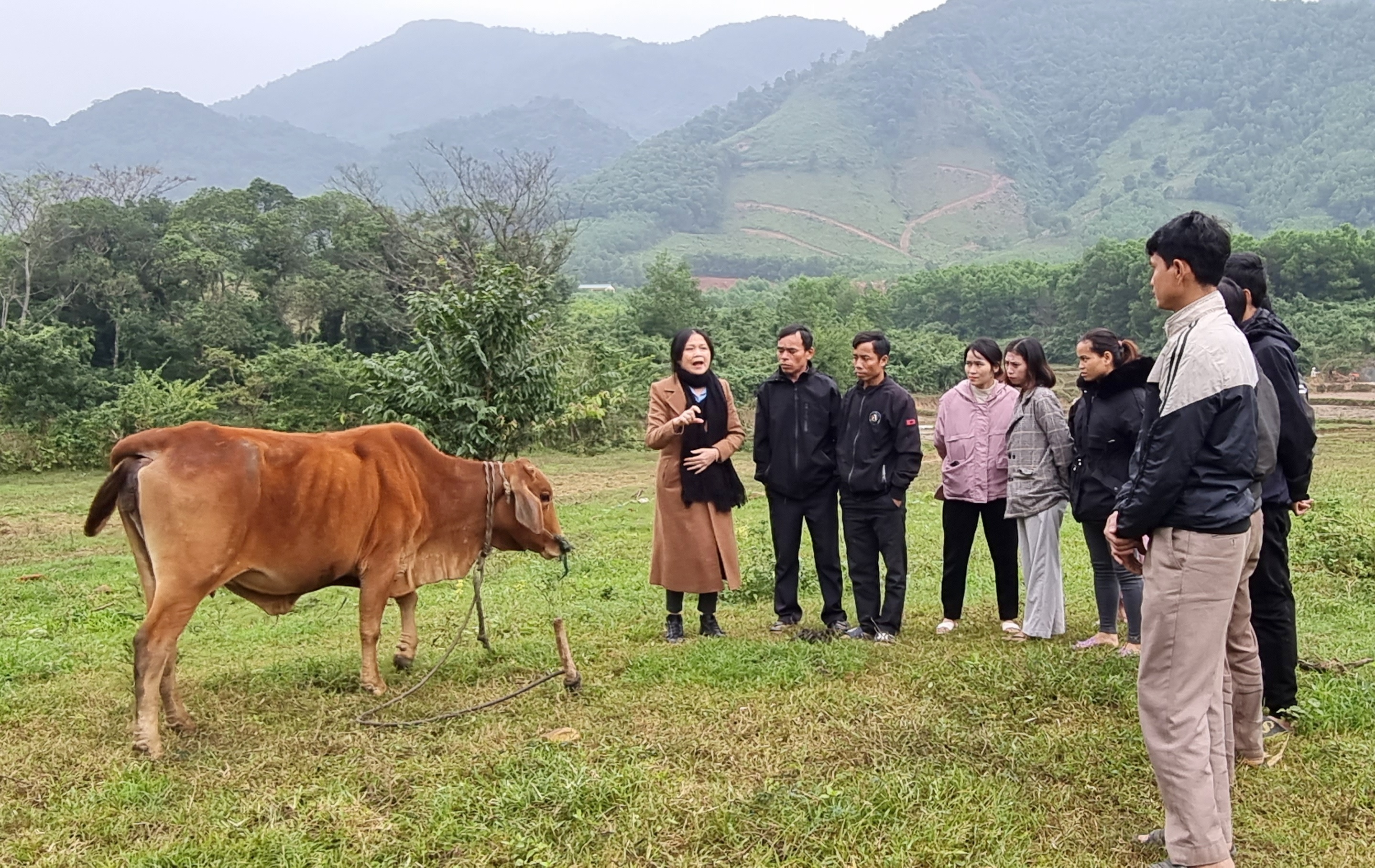 Đào tạo nghề cho đồng bào dân tộc thiểu số - cánh cửa rộng mở thoát nghèo bền vững. Bài 1: Giải bài toán nhiều tiềm năng, thiếu việc làm