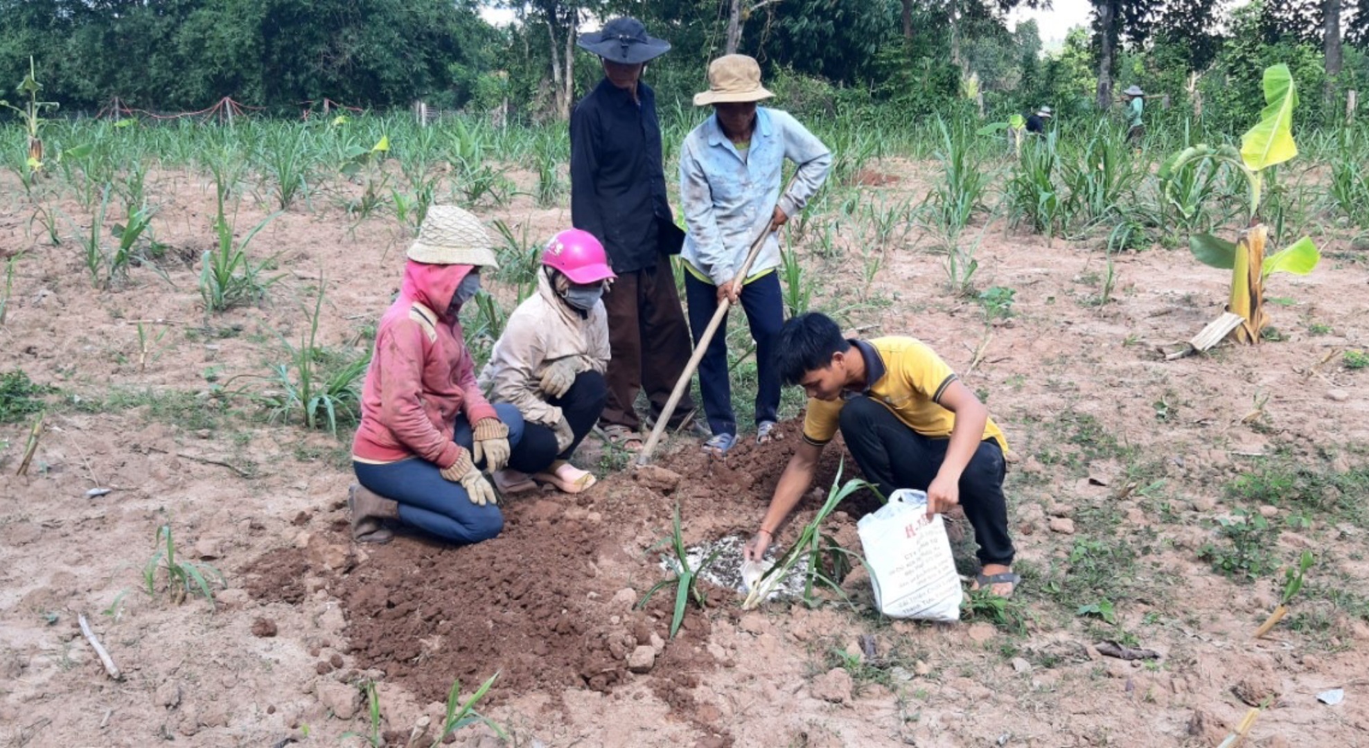 Đào tạo nghề cho đồng bào dân tộc thiểu số - cánh cửa rộng mở thoát nghèo bền vững. Bài 1: Giải bài toán nhiều tiềm năng, thiếu việc làm