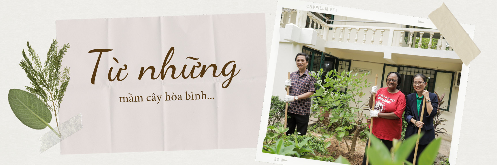 Từ những mầm cây hòa bình…
