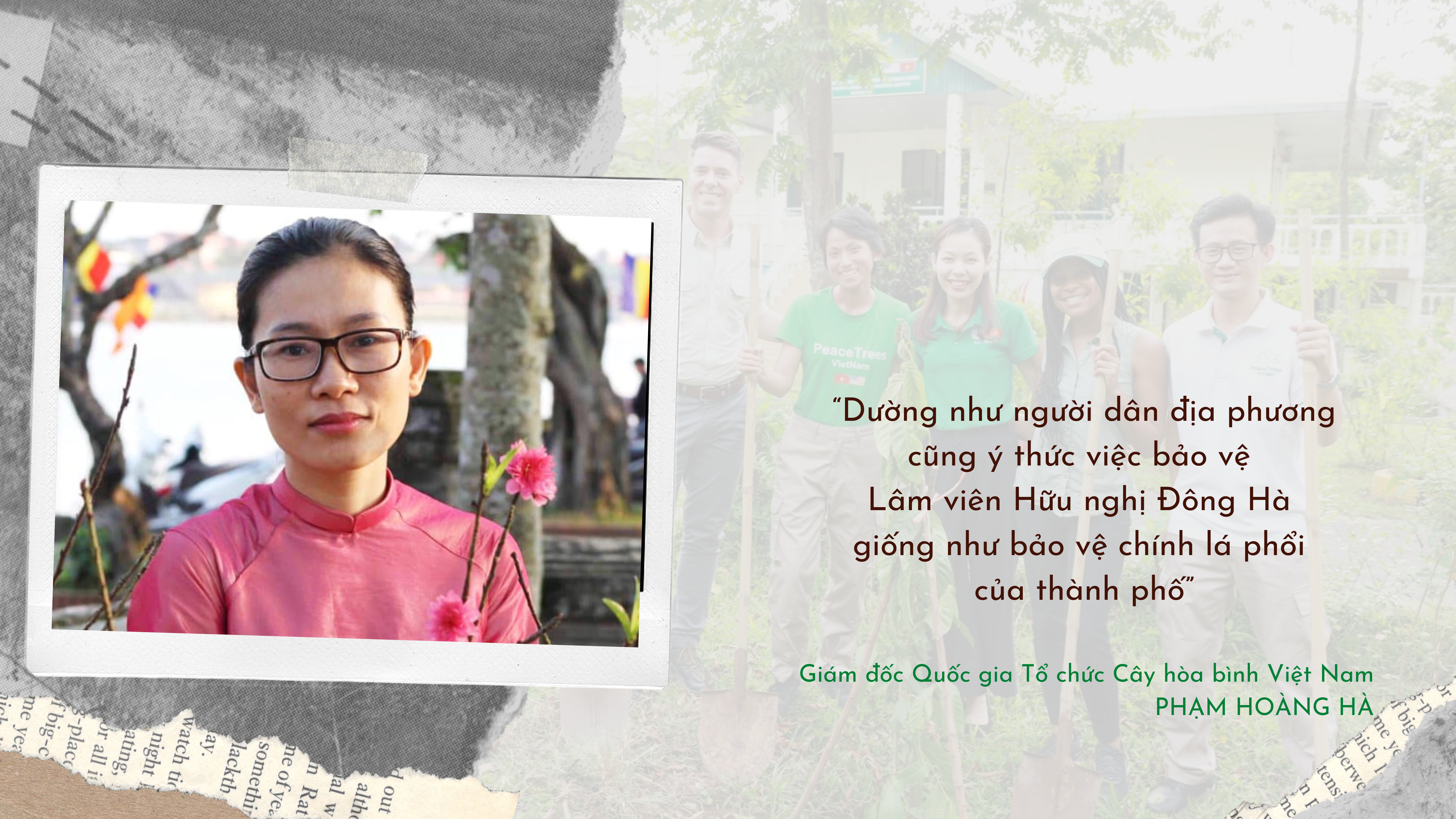 Từ những mầm cây hòa bình…