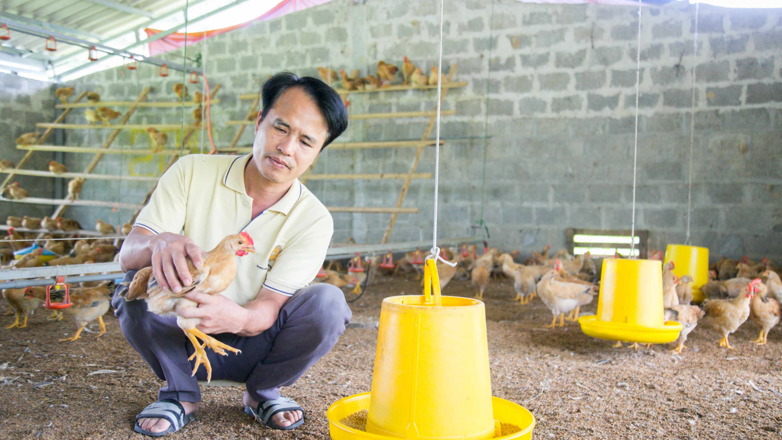 OCOP của miền sương ngọt