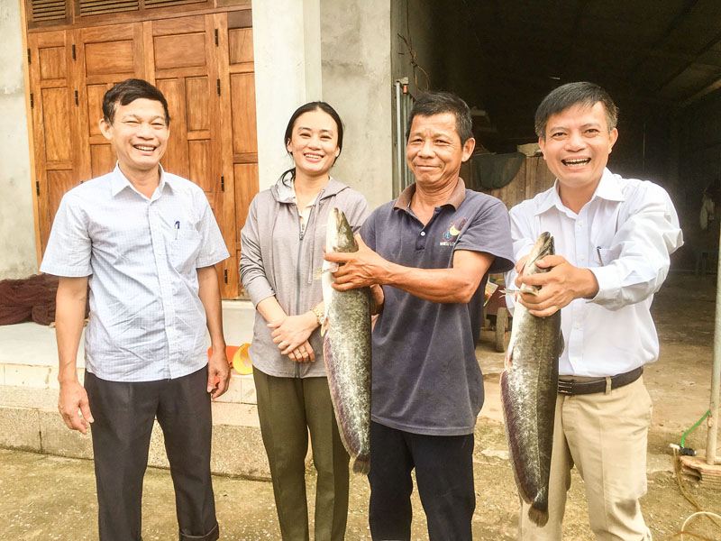 Triển khai nuôi cá leo ở các hồ, đập thủy lợi