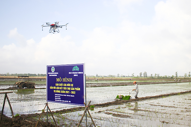 Thúc đẩy sự phát triển ổn định và bền vững của doanh nghiệp