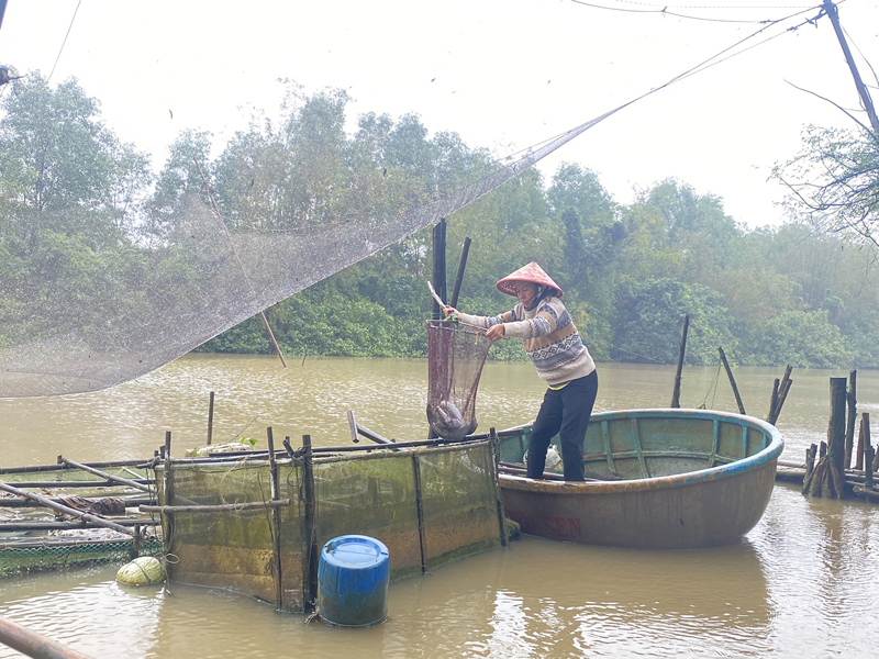 Nghị lực của người phụ nữ khuyết tật