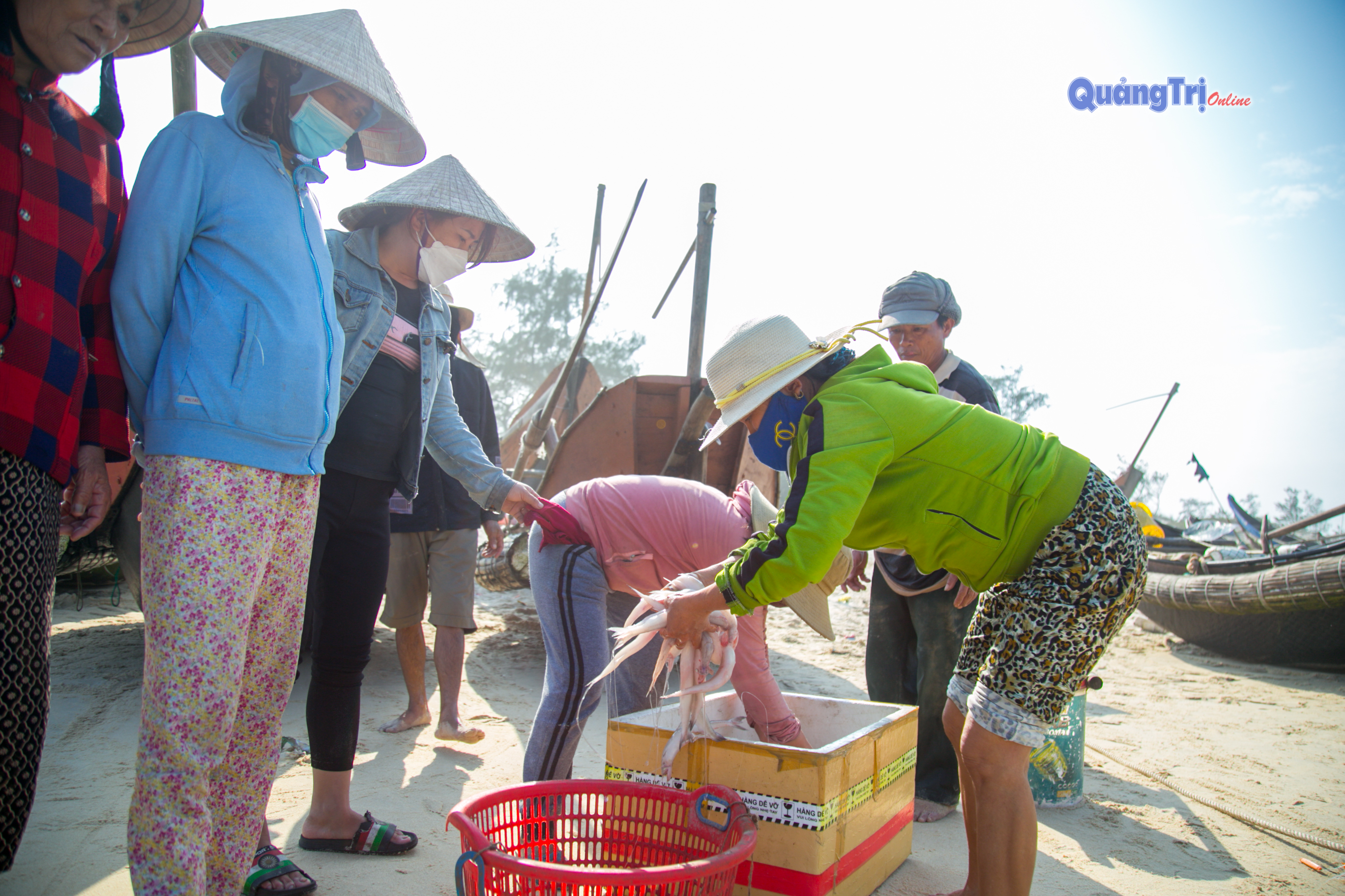 Phóng sự ảnh: Ngư dân vùng biển bãi ngang đón “lộc” cá khoai đầu năm