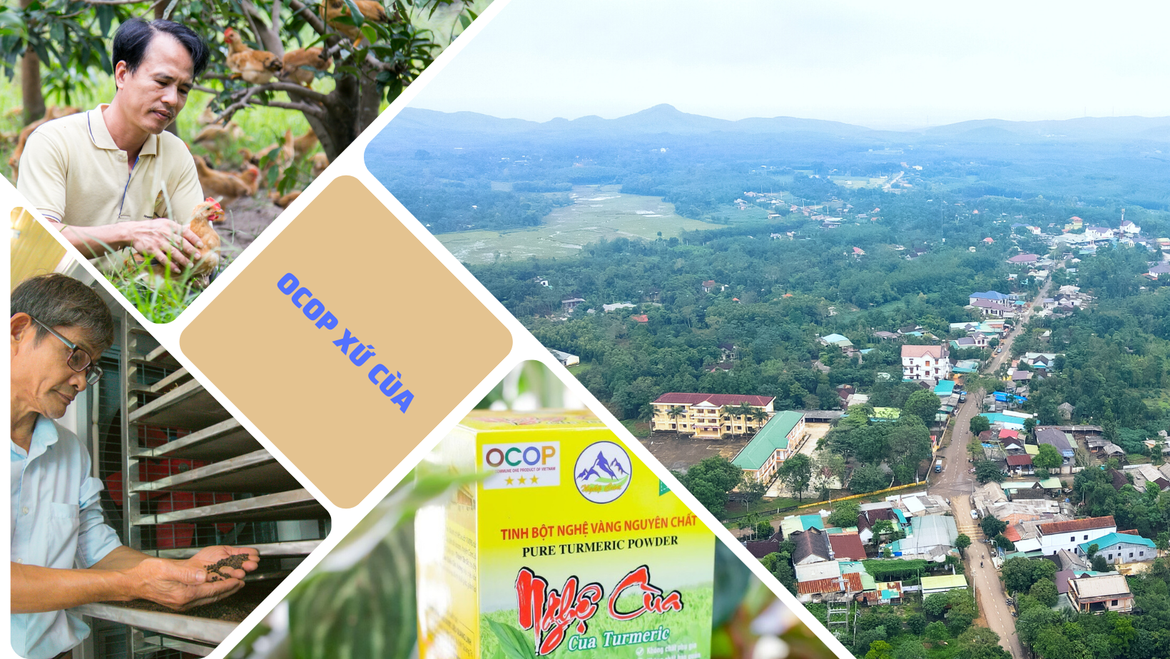 OCOP của miền sương ngọt
