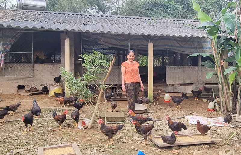 Nông dân xã Hải Lệ thi đua sản xuất kinh doanh giỏi