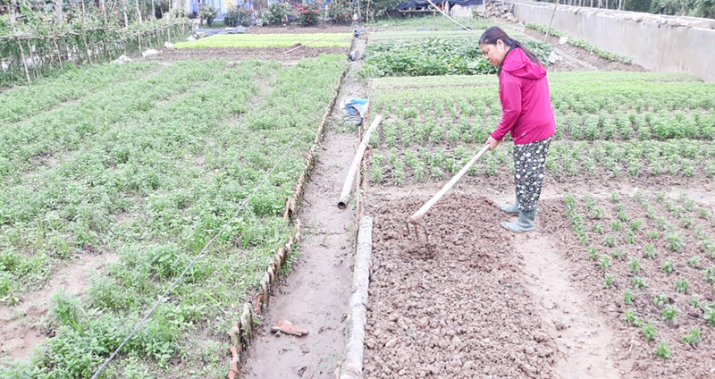 Hội Khoa học, kỹ thuật và làm vườn Triệu Phong: Triển khai nhiều hoạt động thiết thực, hiệu quả
