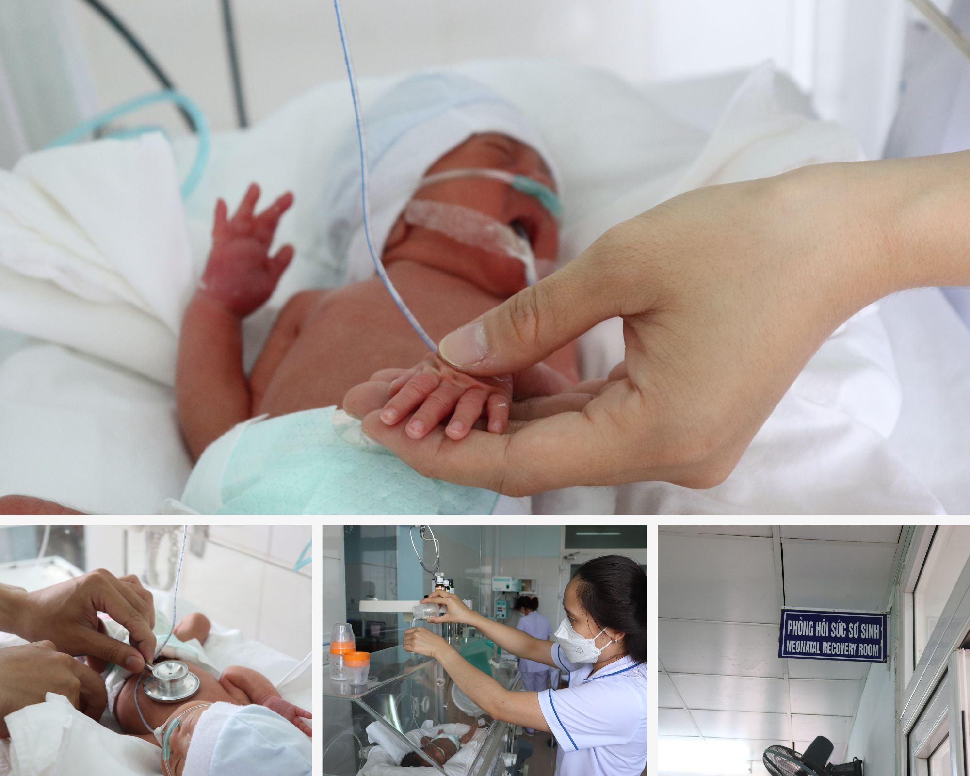 Cha mẹ “đỡ đầu” của những em bé trong lồng ấp