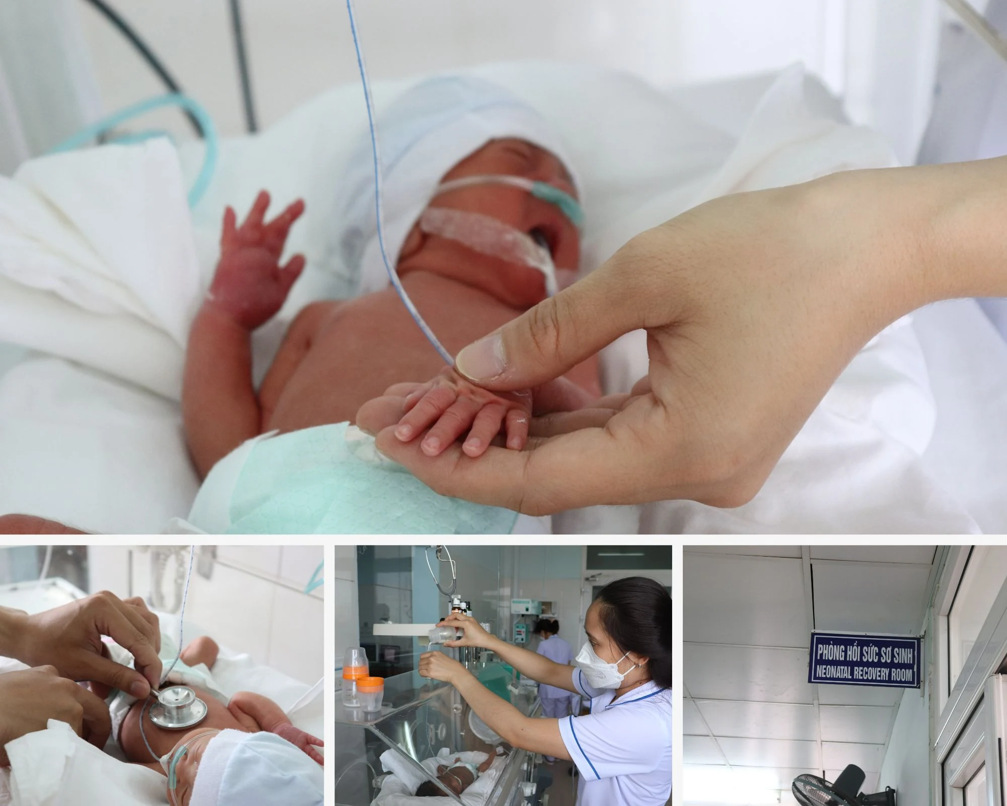Cha mẹ “đỡ đầu” của những em bé trong lồng ấp