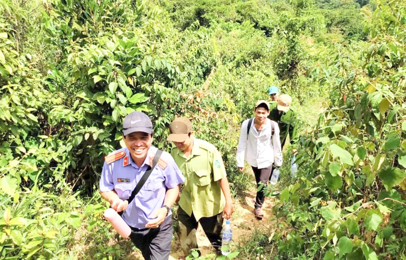 Chú trọng quản lý, bảo vệ và phát triển rừng ở huyện Đakrông